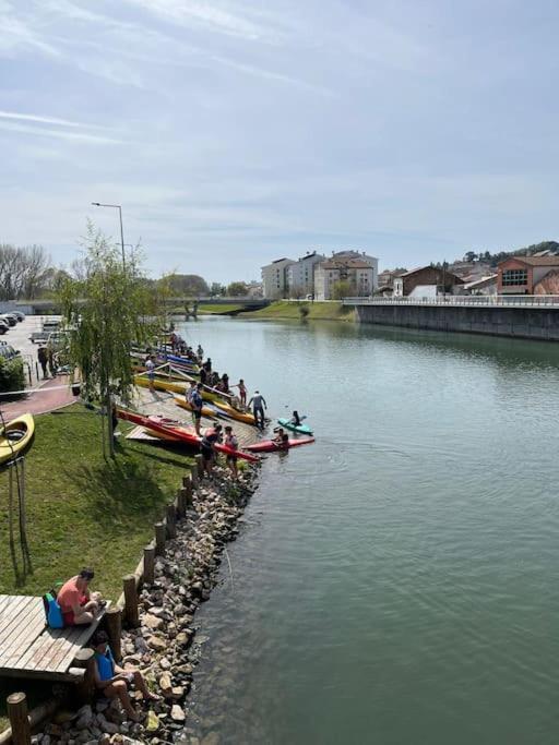 Apartament Rio Coracao Tomar Zewnętrze zdjęcie